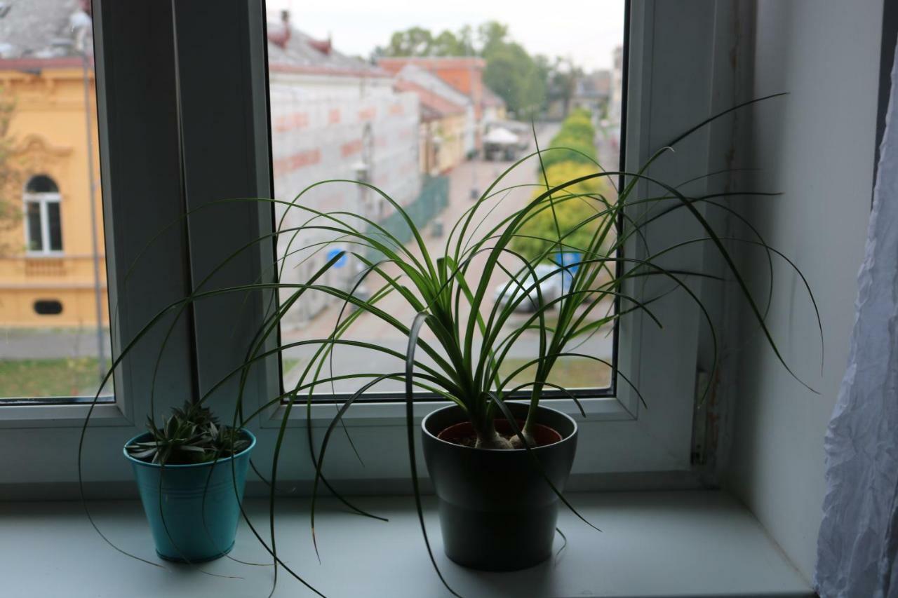 Apartment F6 Osijek Buitenkant foto